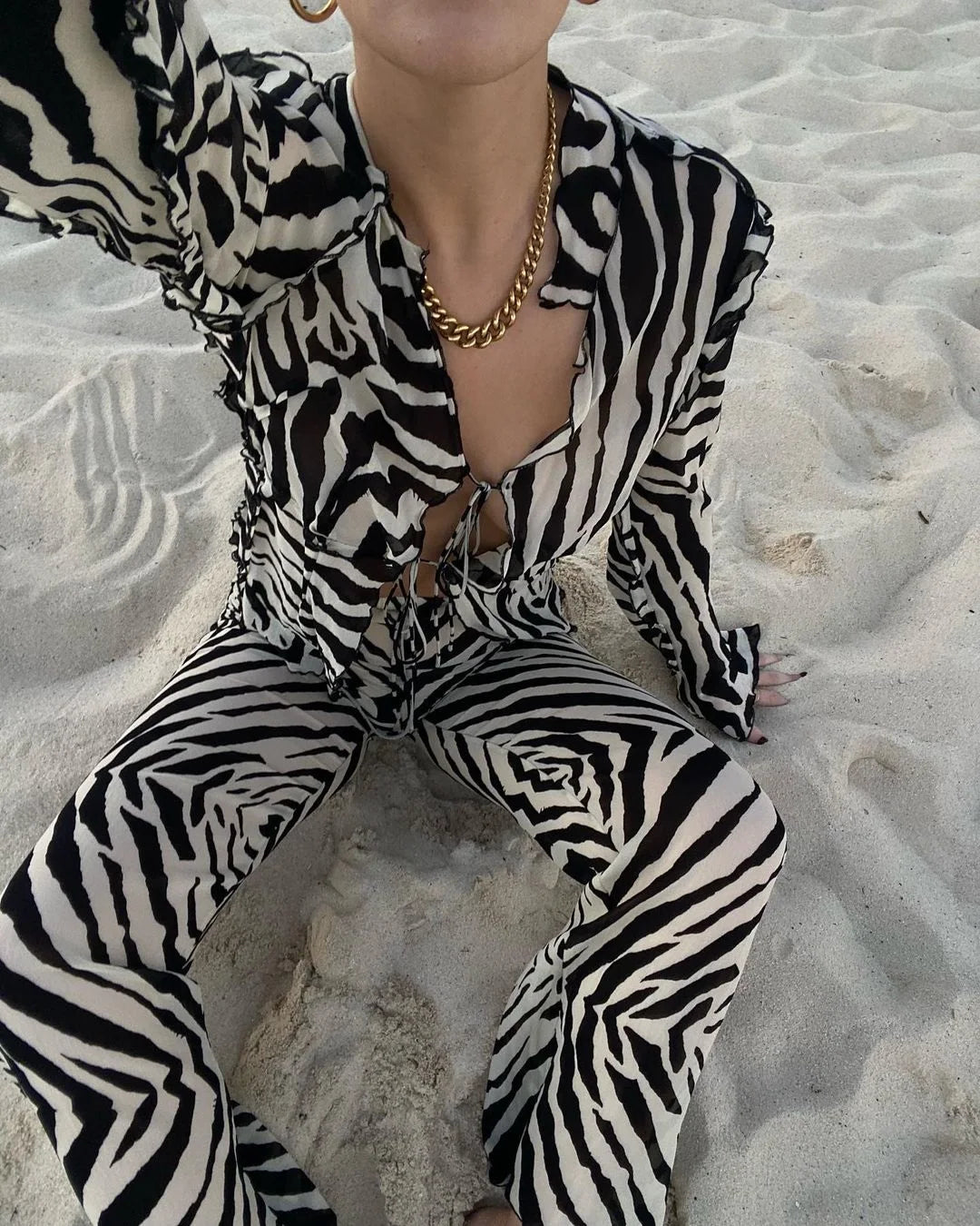 🍒Zebra  print mesh top sheer stripeed shirt outfit for women set tie front detail top and matching pants fashion two piece sets holiday beachwear Do Hot Girl Hot Jungle in Cool Clothes