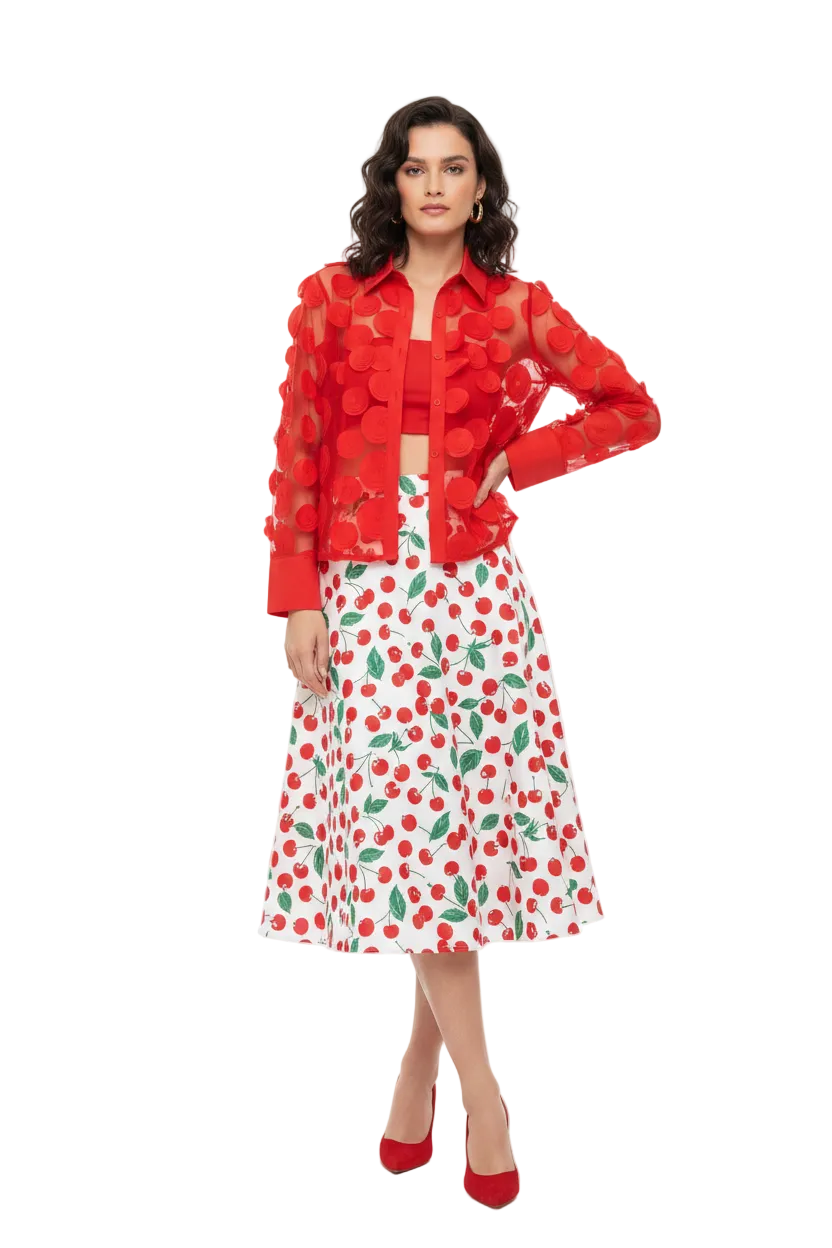 🍒Elegant french blouse 3D foral semi sheer mesh shirt top women lantern sleeve blouses summer Pick A Peach Or Two