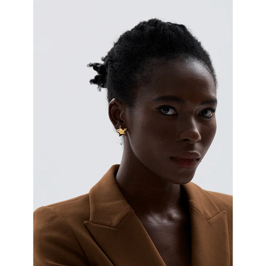 🍒Stainless steel star stud earrings cute stud earrings smooth 18K gold plated rust proof jewellery trendy accessories for women Gift Get This Steel Its A Star